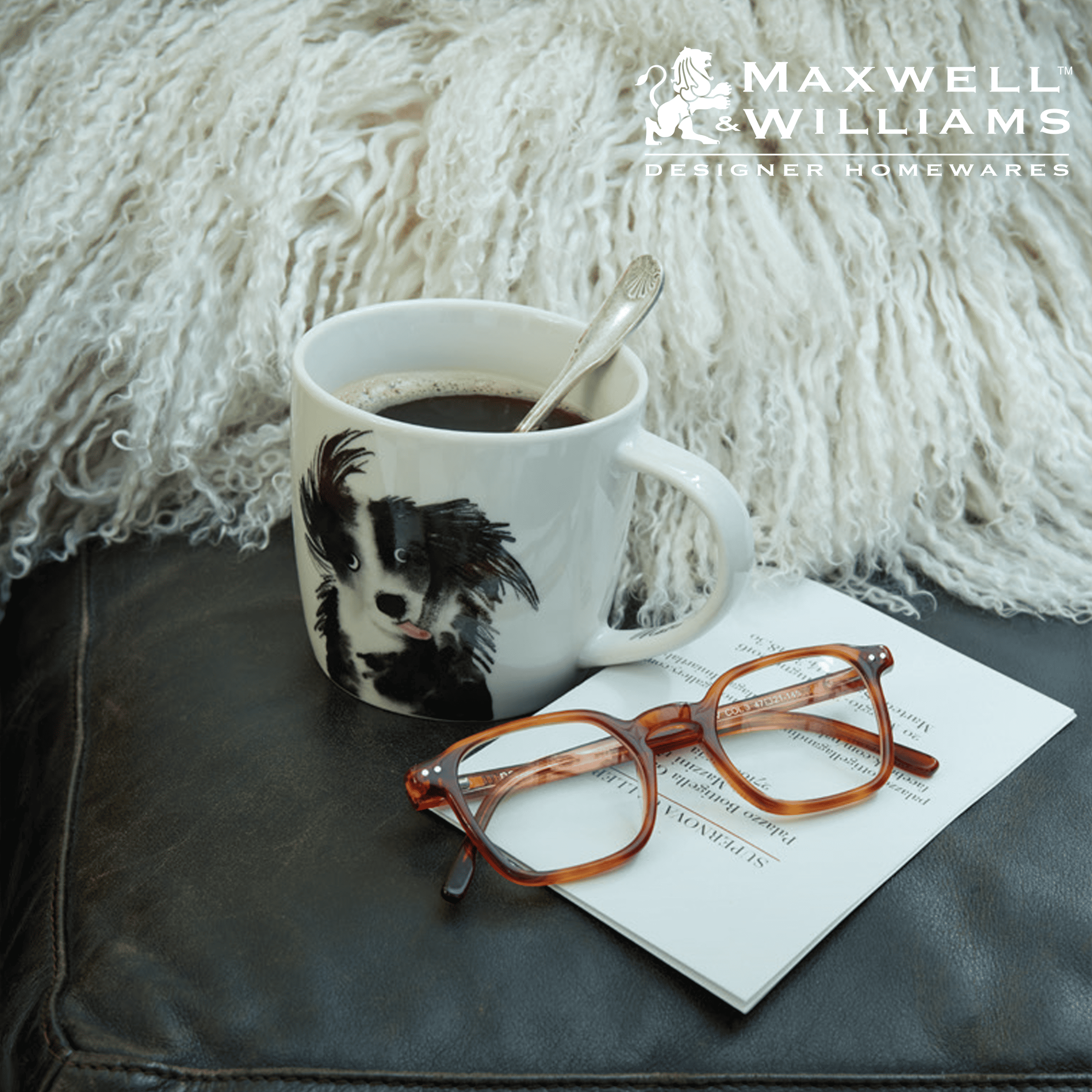 9_Puntoo_Home_Carousel_MW_Dogs